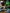 RA80 XL RGB Switch Panel, Larger Size, Toggle/ Momentary/ Pulsed Mode Supported