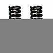 Ford Softride Coil Spring Set 83-97 Ranger 84-90 Bronco II 91-94 Explorer 91-94 Navajo 94-97 Mazda B SeriesOf 2 Front w/4 Inch Lift Black Skyjacker