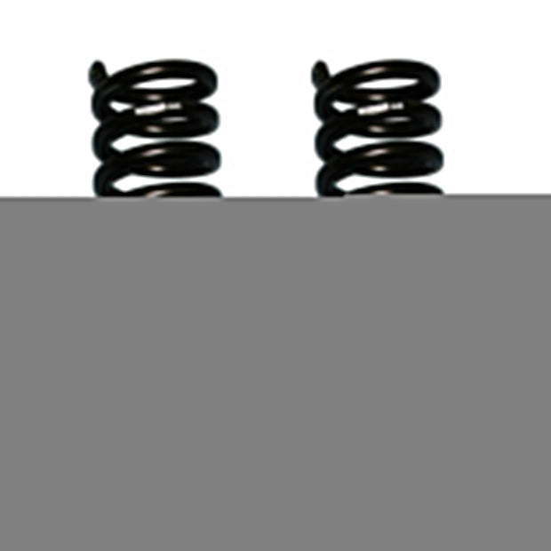 Ford Softride Coil Spring Set 83-97 Ranger 84-90 Bronco II 91-94 Explorer 91-94 Navajo 94-97 Mazda B SeriesOf 2 Front w/4 Inch Lift Black Skyjacker