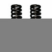 Ford Softride Coil Spring Set Of 2 Front w/6 Inch Lift 70-72 F-100 75-79 Bronco 7-79 F-150 Black Skyjacker
