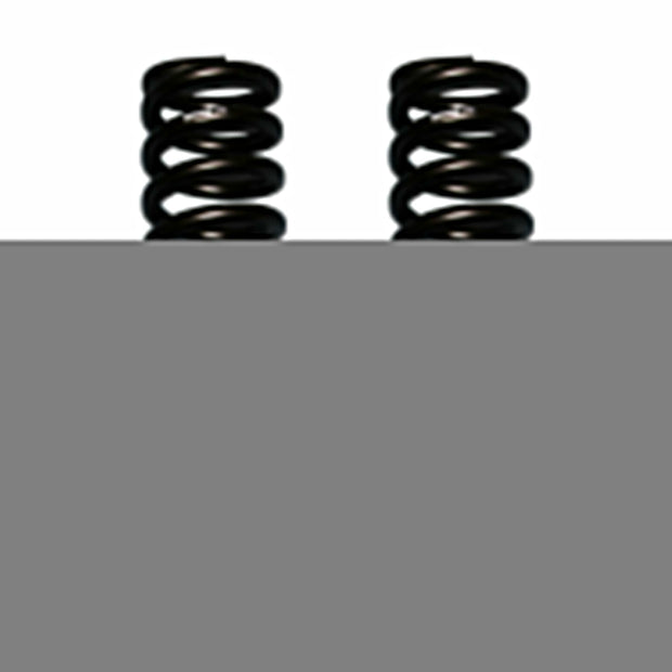 Ford Softride Coil Spring Set Of 2 Front w/6 Inch Lift 70-72 F-100 75-79 Bronco 7-79 F-150 Black Skyjacker
