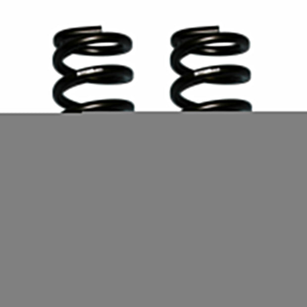 Softride Coil Spring Set Of 2 Front w/2 Inch Lift Black 80-96 Ford Bronco 80-96 Ford F-150 Skyjacker