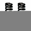 Softride Coil Spring Set Of 2 Front w/4 Inch Lift Black 80-96 Ford Bronco 80-96 Ford F-150 Skyjacker