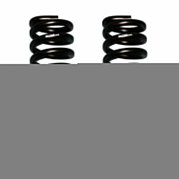 Softride Coil Spring Set Of 2 Front w/4 Inch Lift Black 80-96 Ford Bronco 80-96 Ford F-150 Skyjacker