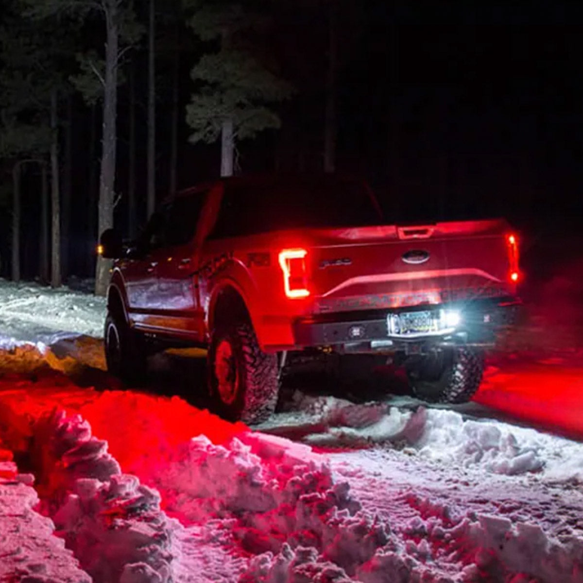 FORD 15-20 F-150 and 17-19 RAPTOR Ultra High Power 3-Watt White LED License Plate Illumination Kit - Image 6