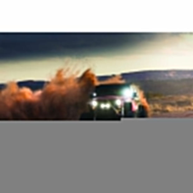 Diffused Light Pair D-XL Pro RIGID Industries