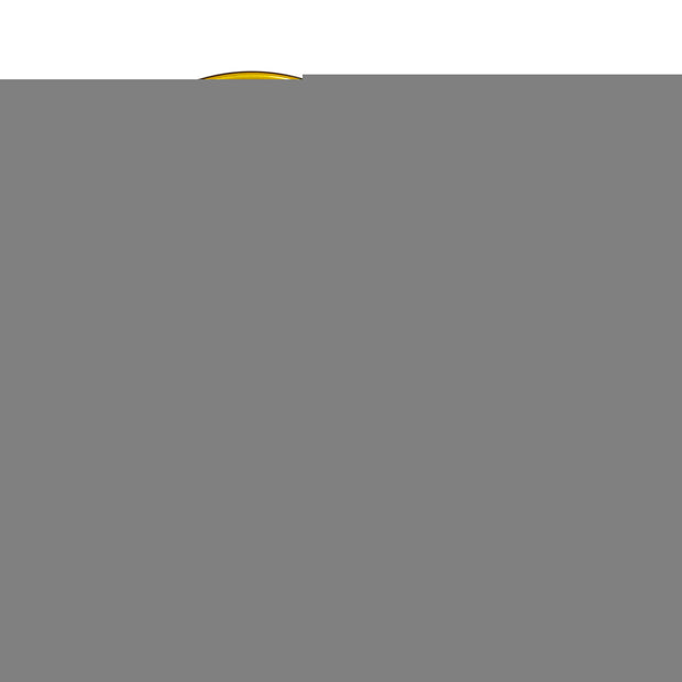 Cover For Rigid 360-Series 4 Inch Led Lights Amber Pair RIGID Industries