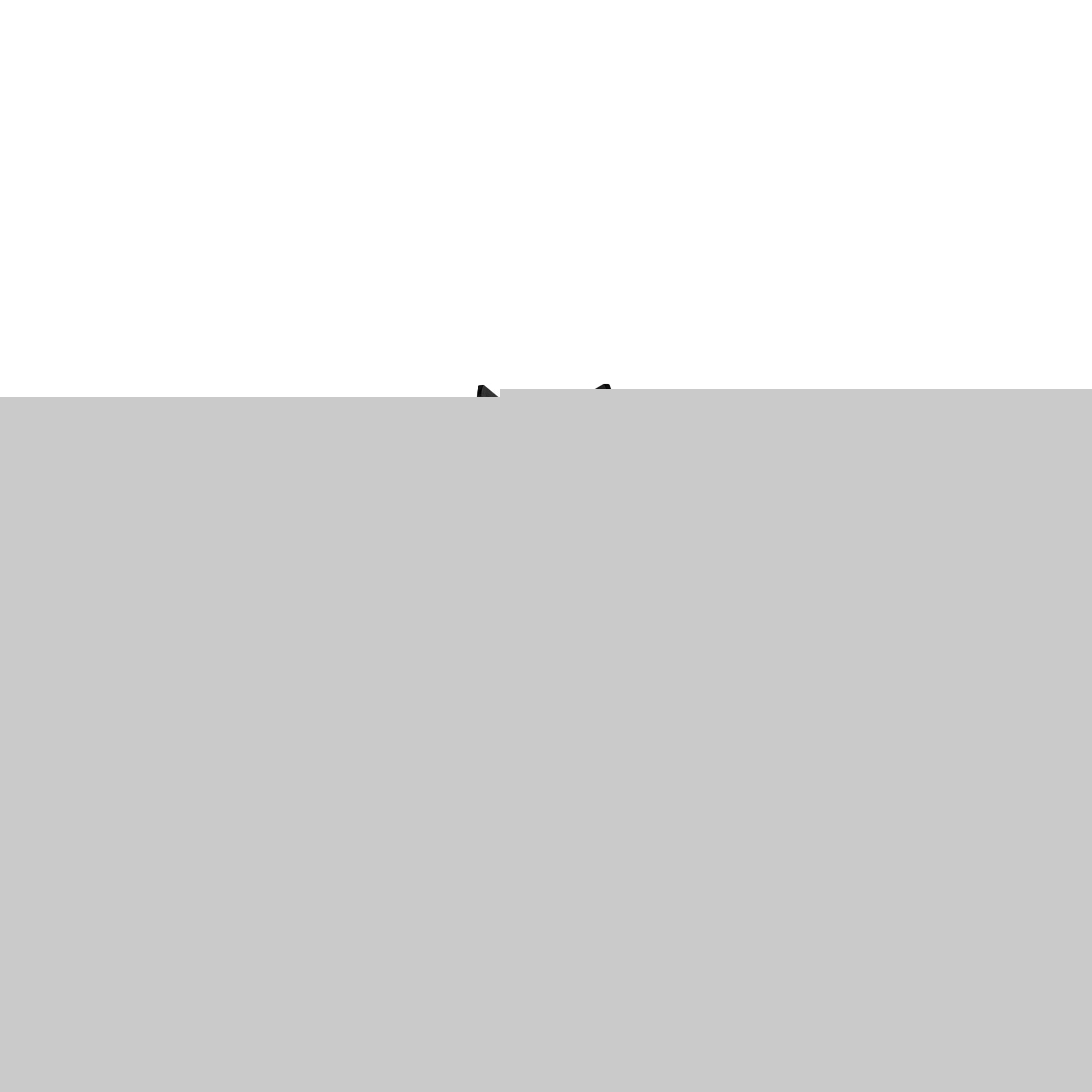 2021-Present Bronco Mod Bumper Fog Mounts RIGID Industries