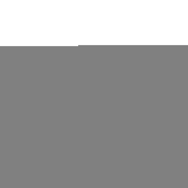 Steering Stabilizer Dual Kit Hardware Boots Not Incl. Due To Clearance Issues White Skyjacker