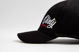 Classic Dirty Hat (Flex-Fit)