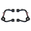 Control Arm 19-22 Ford Ranger Skyjacker (FR19350UCA)