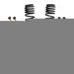 2.5 Inch Front Dual Rate Long Travel Coil Spring Lift Kit with Rear Metal Coil Spring Spacers and Shock Extensions 2020-2022 Jeep Gladiator JT Rubicon Skyjacker