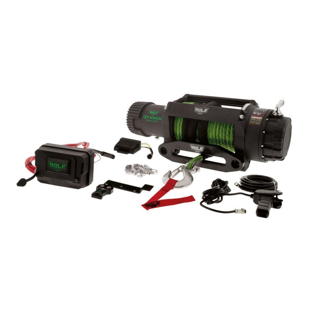 Elec Winch 12V Professional