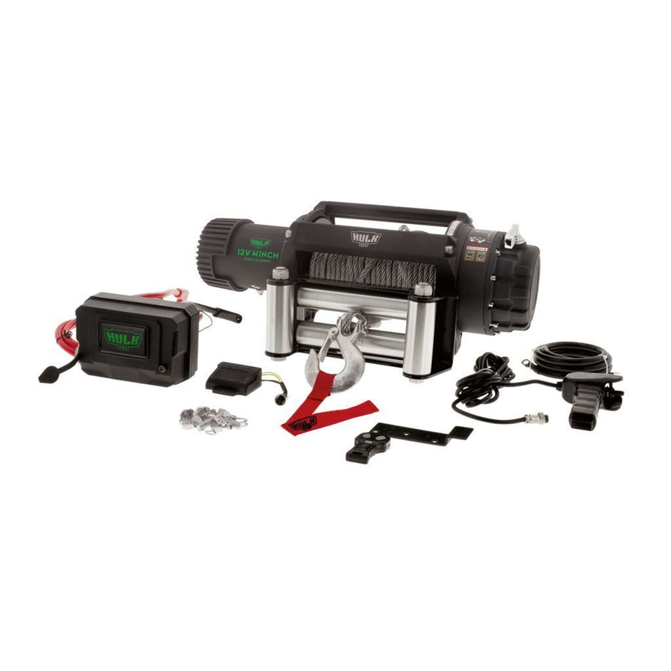 Elec Winch 12V Professional