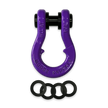 Jowl Recovery Split Shackle 3/4 (Grape Escape) Washers