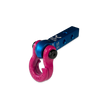Jowl 5/8 Split Shackle & 1.25 Receiver (Blue Pill and Pogo Pink)